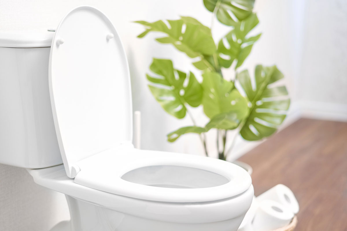 Ceramic toilet bowl with toilet paper near light wall