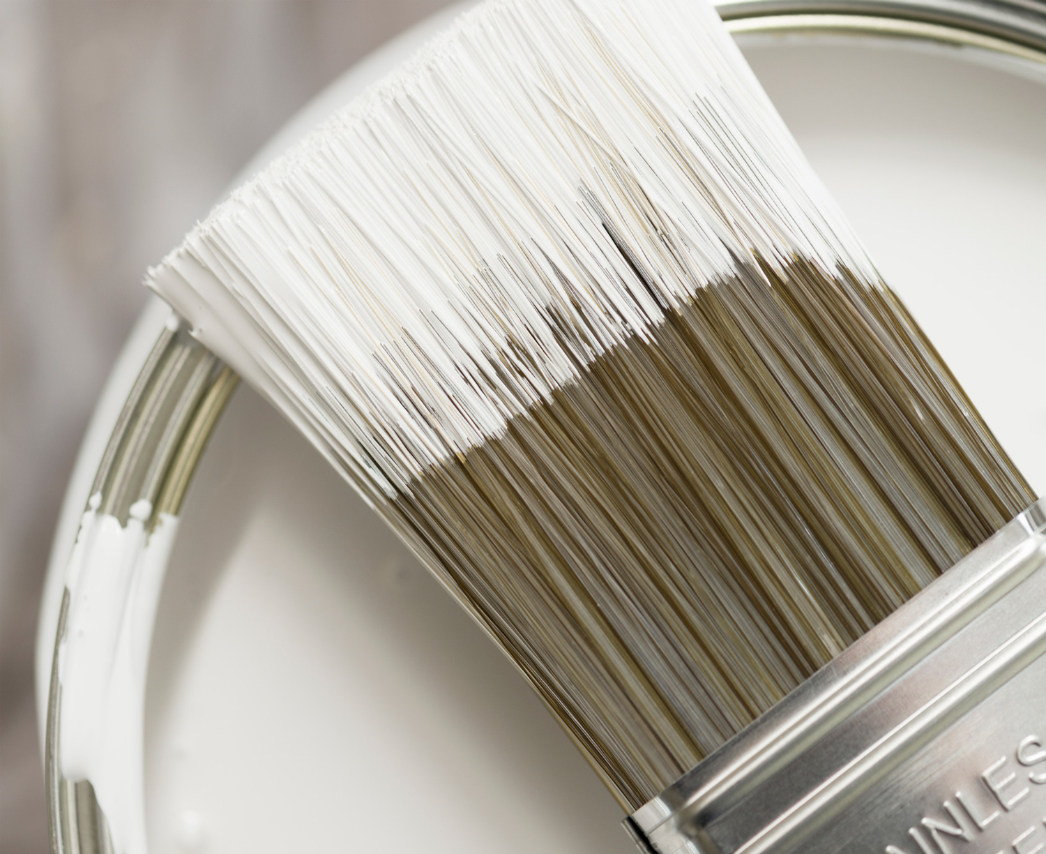 Close-up of wet white paint on a paintbrush.