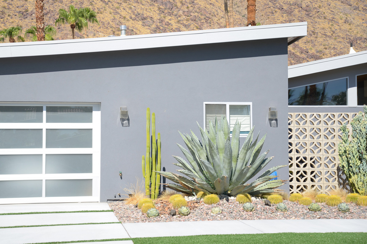 Detail of grey design house with big agave plant