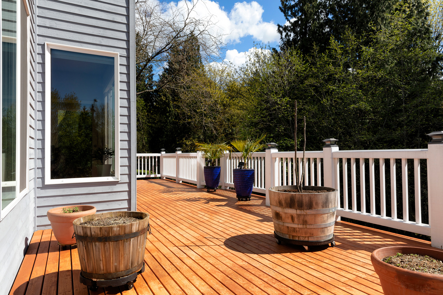 Home outdoor cedar wood backyard deck just freshly stained during early spring time with trees and sky in background