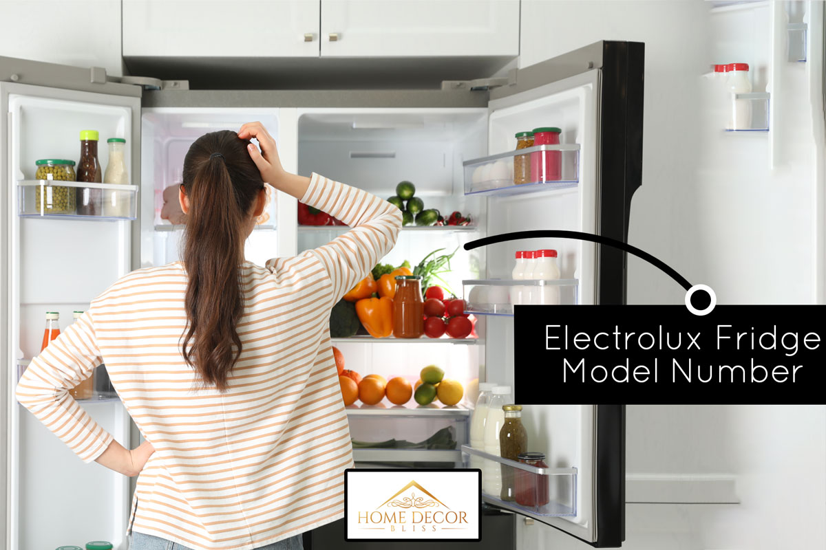 Young woman near open refrigerator in kitchen, back view, How To Find The Model Number On An Electrolux Fridge