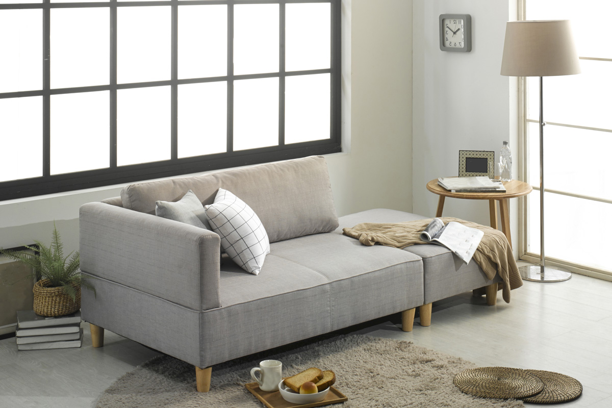 Modern living room with sofa and furniture. Japanese style one room interior. Practical sofa bed furniture design.