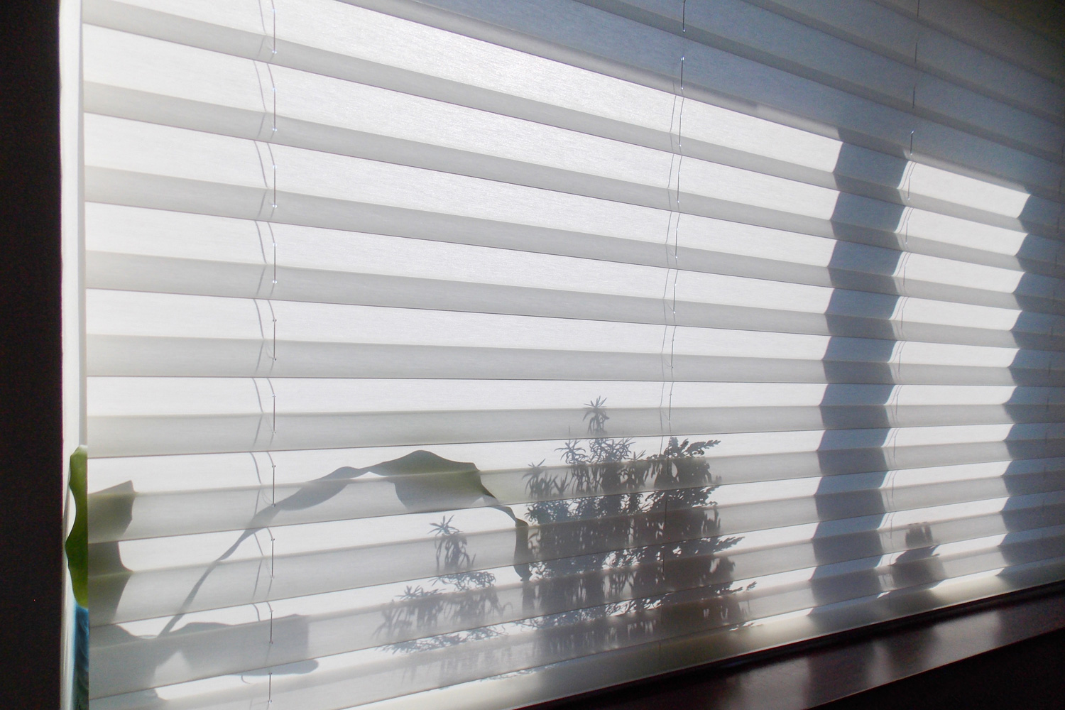 Pleated blinds XL Coulisse, white color, with 50mm fold closeup in the window opening. On the windowsill behind pleated shades, shadows of indoor plants shine through. Modern home curtains closed.