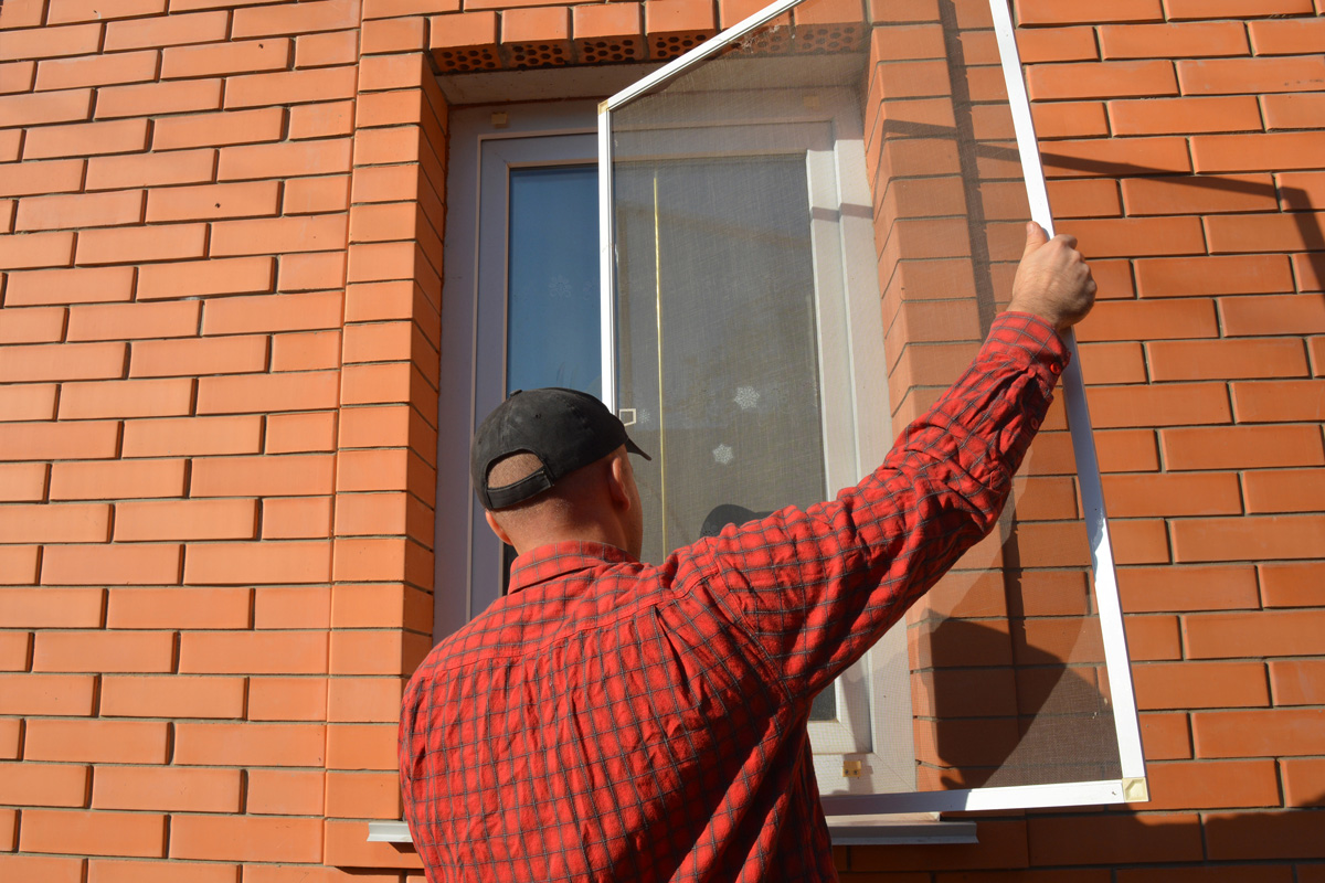 Repairman installing mosquito net screen on house window 