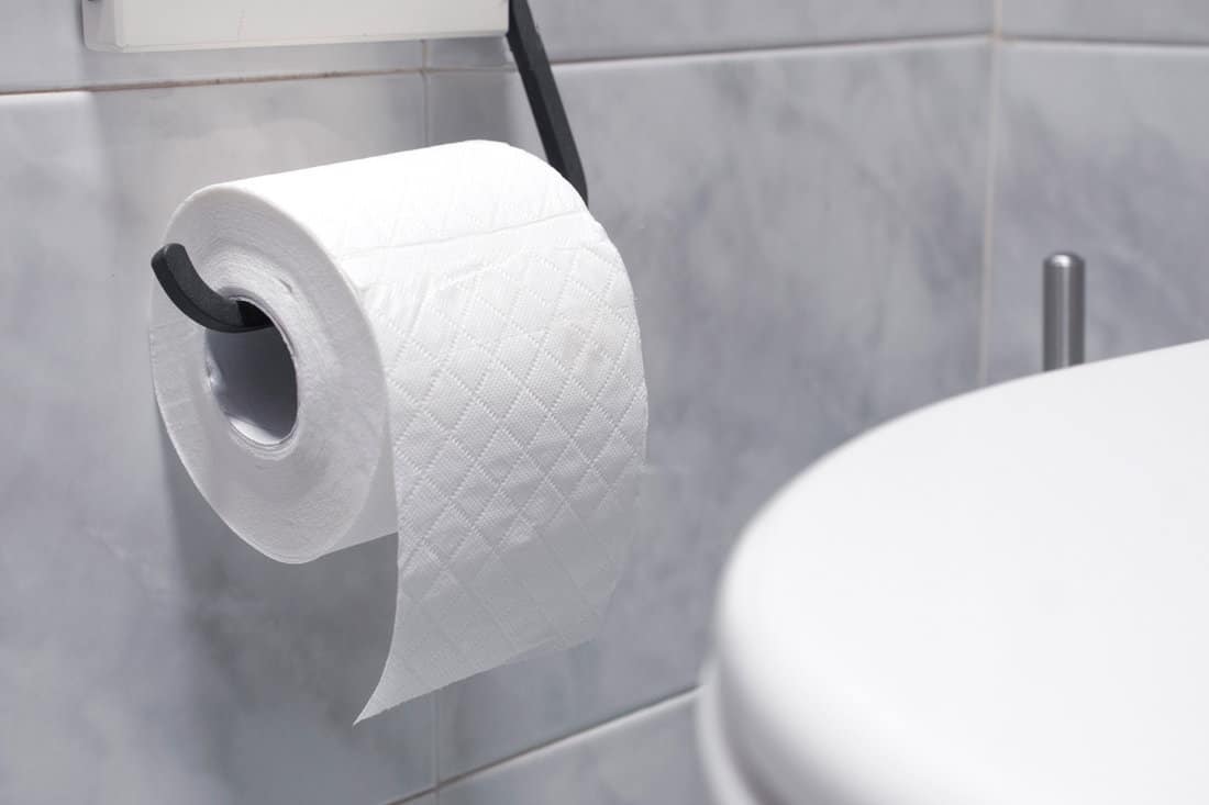 Roll of toilet paper in a tiled bathroom