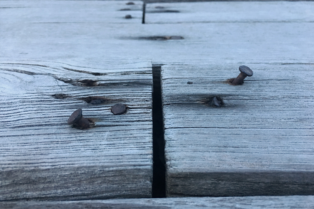 Rusty nails stick in wooden plank for joint two board together
