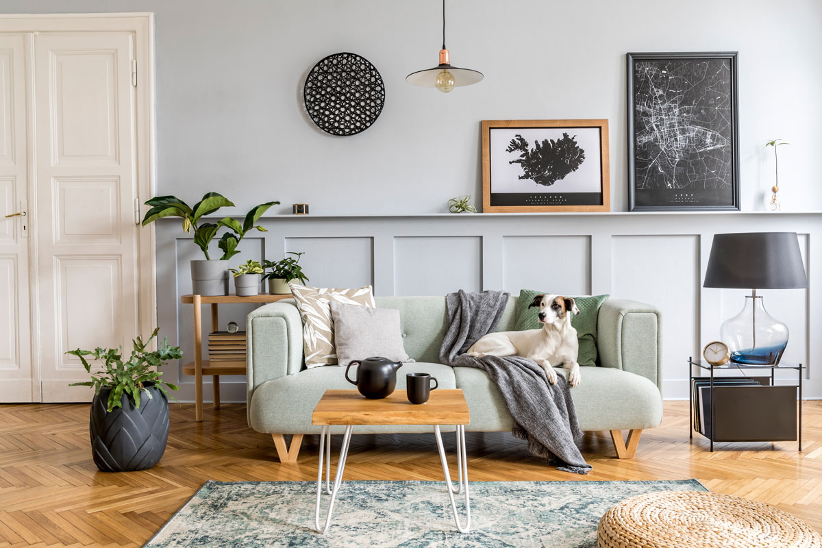 Scandinavian inspired living room with gray painted walls and matching wooden furniture's
