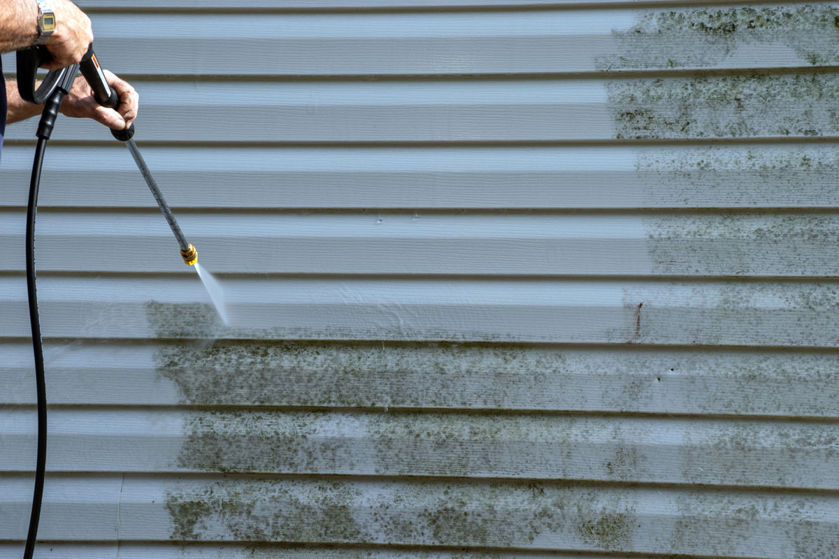Spring or fall cleaning is needed on this siding