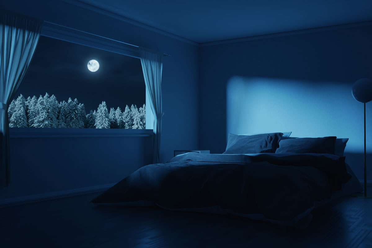 bedroom with cozy low bed in the full moon night