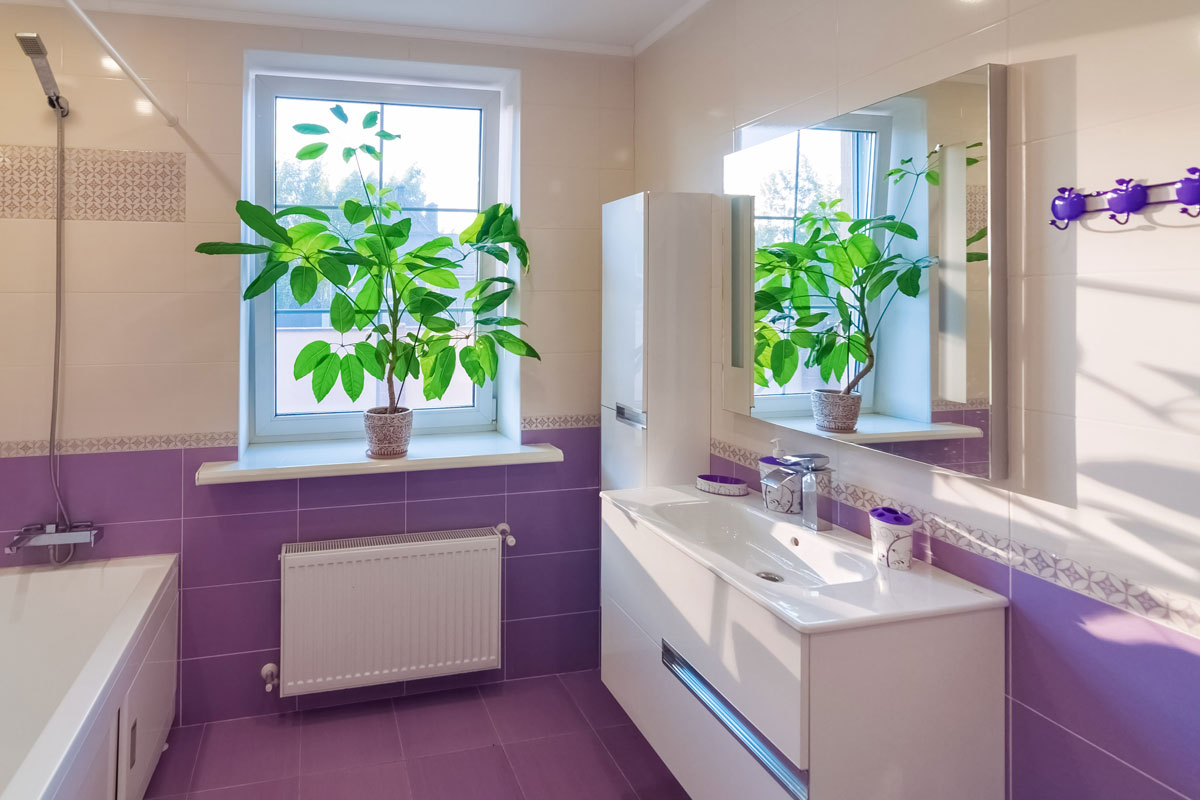 purple, white, bathroom in the house