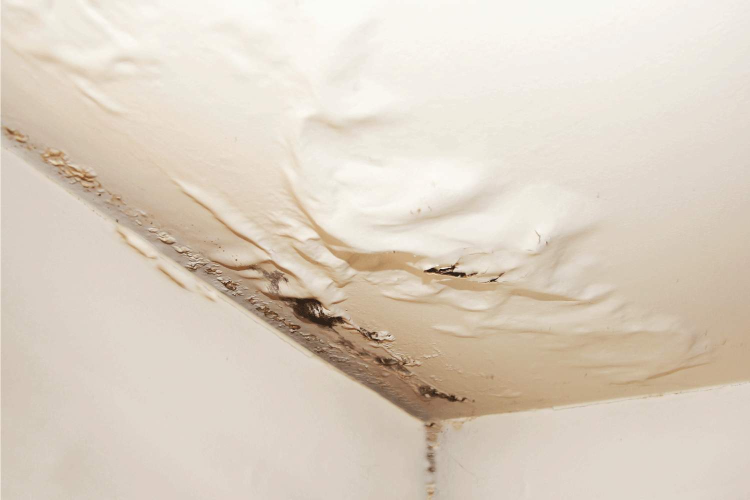 water ,moisture damaged ceiling, room corner