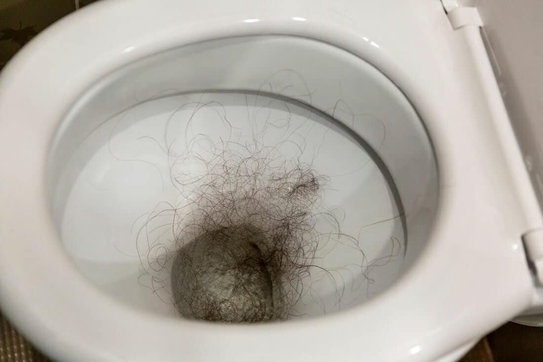 A tuft of long fallen hair in the toilet bowl. Baldness problem. Close-up.
