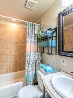 Bathroom interior with antique fixtures and ceramic tile walls,Can A Shower Caddy Be Too Heavy For Shower Head?