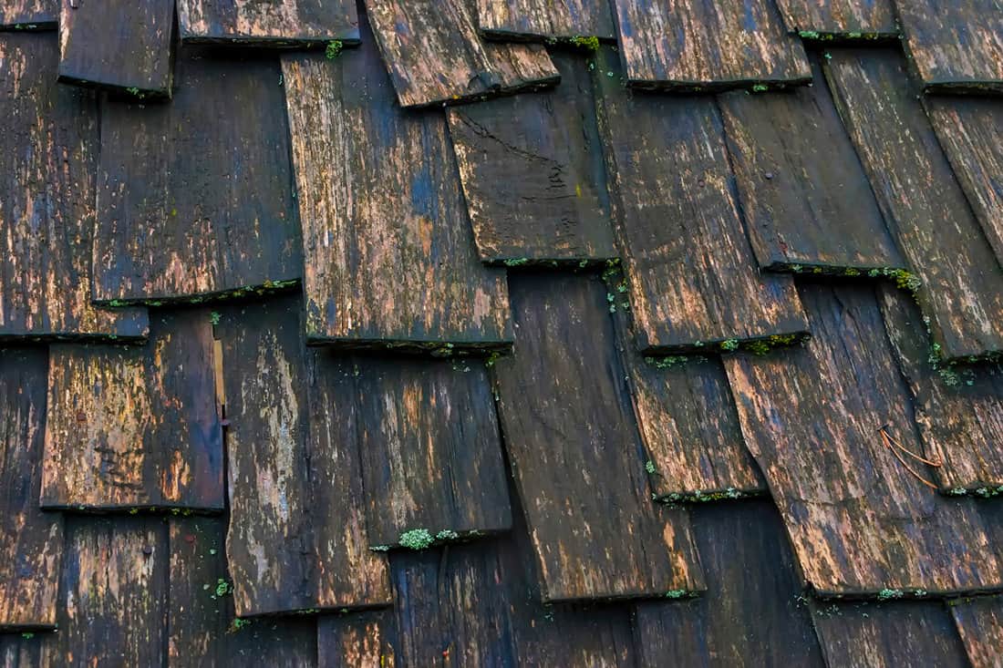 Driftwood shingle roofing with mold growing on the sides