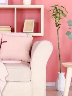 Elegant living room interior with trendy grey sofa with pastel pink pillow and burgundy blanket, wooden coffee tables next to it. - 11 Colors That Go With Blush Pink For Your Home Décor