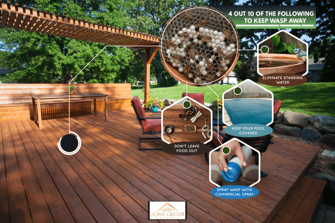 Backyard deck and pergola landscaping, How To Keep Wasps Away From A Wooden Deck