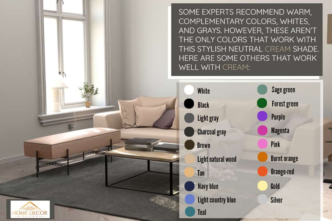 Living Room, Messy, House, Office, Waiting Room, 19 Colors That Go With Cream For Your Home Decor [With Pictures]