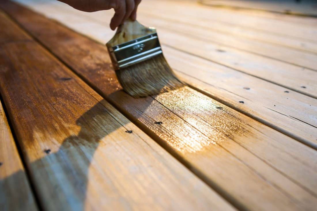 Male Carpenter Applying Varnish To Wooden Deck stock photo
