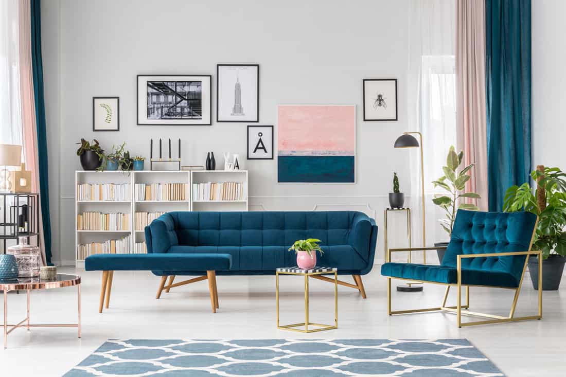  Modern living room with sofa 