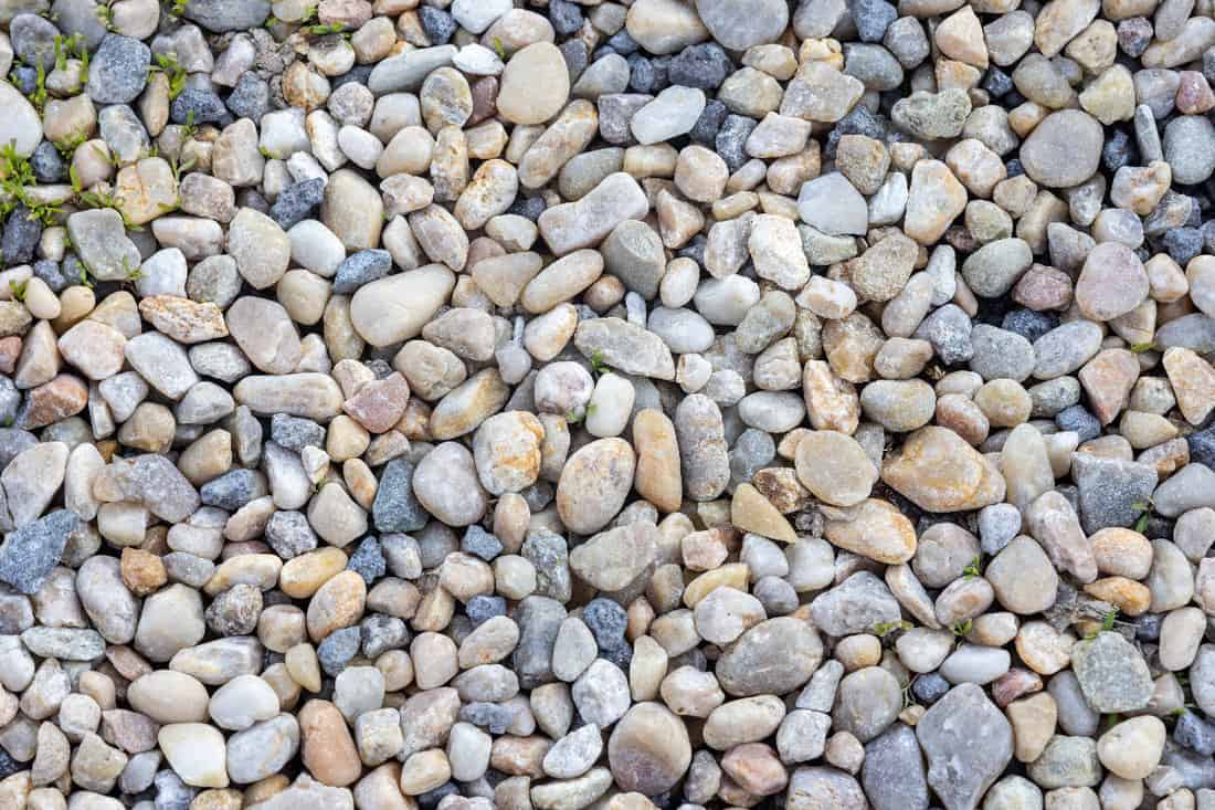 Pea gravel stones