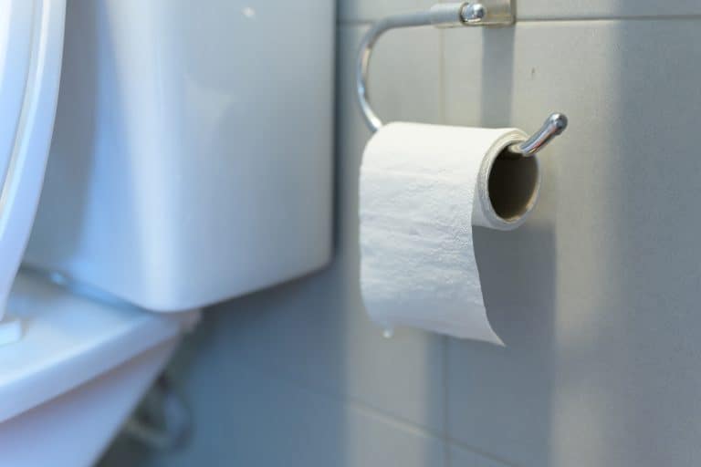 Roll Bathroom tissue or toilet paper in selective focus - Where To Put Toilet Paper Holder [9 Great Ideas!]