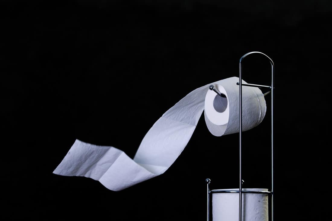 Roll of toilet paper on holder and paper waving in wind