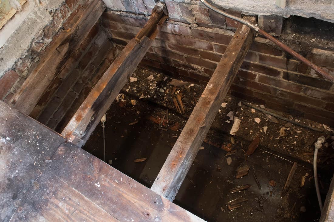Rotton broken floor joists exposed during home renovation and building works. View into flooded house foundations.