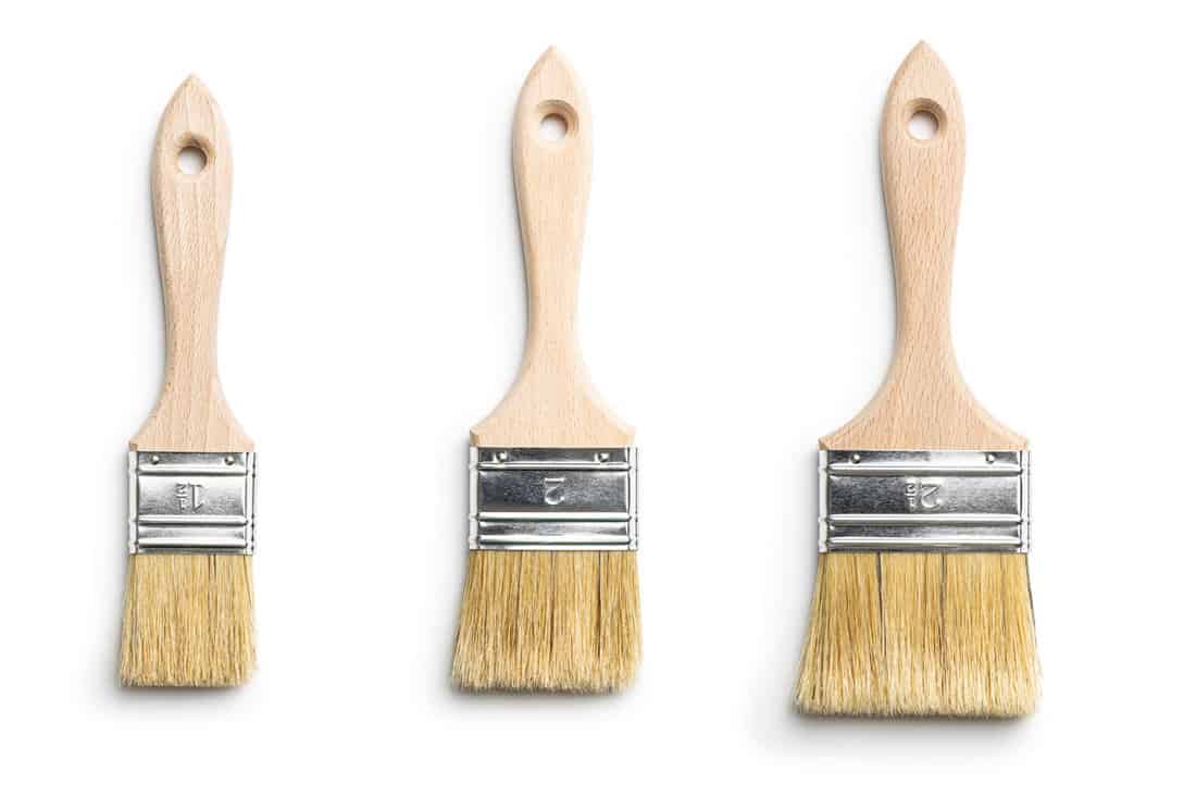 Set of clean paint brushes