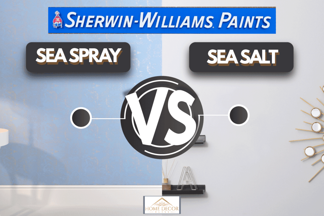 Two types of sherwin williams paint sea salt and sea spray choose wisely, Sherwin-Williams Sea Spray Vs. Sea Salt: Which To Choose?