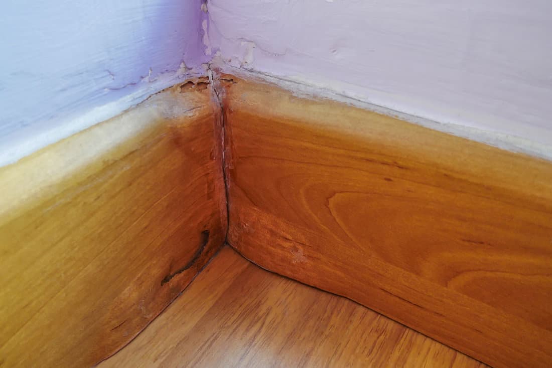 The wood skirting board became swelling because of the water damage incident occurs