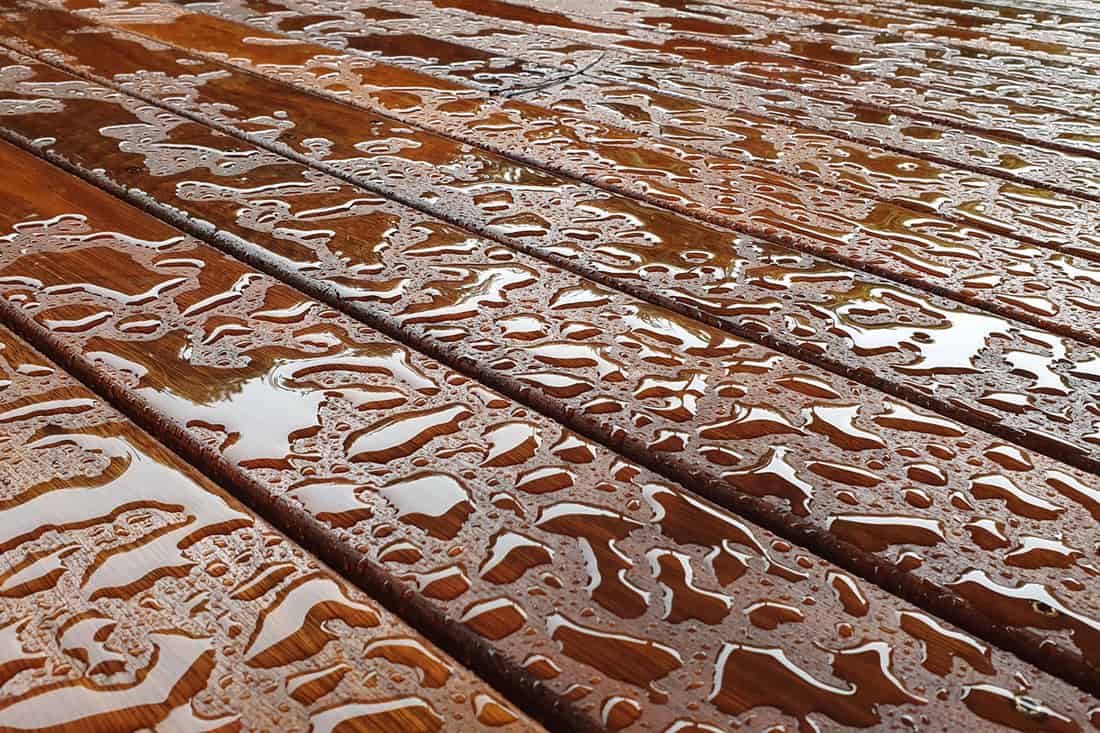 Timber Deck after rain, wet timber decking, Australian spotted Gum timber decking