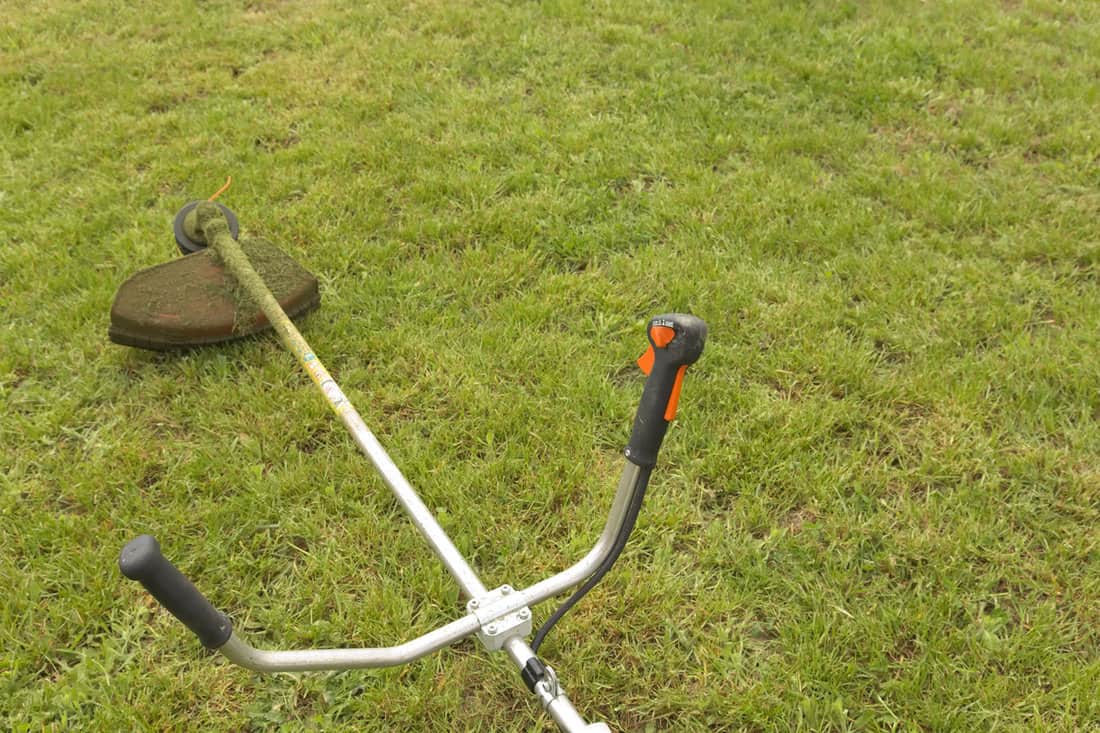 Using a Stihl weed eater to lawn the yard