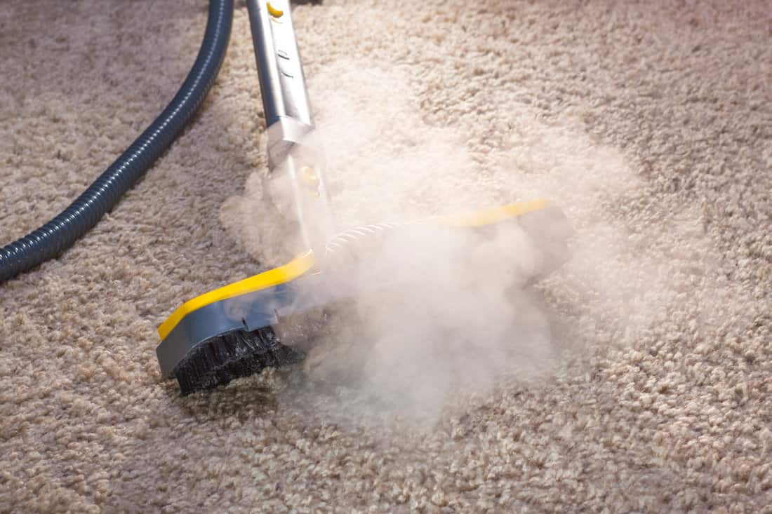 Using dry steam cleaner to sanitize floor carpet.
