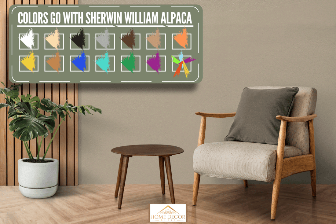 Mid-century modern living room interior design with monstera tree,What Colors Go With Sherwin Williams Alpaca? [14 Great Ideas!]