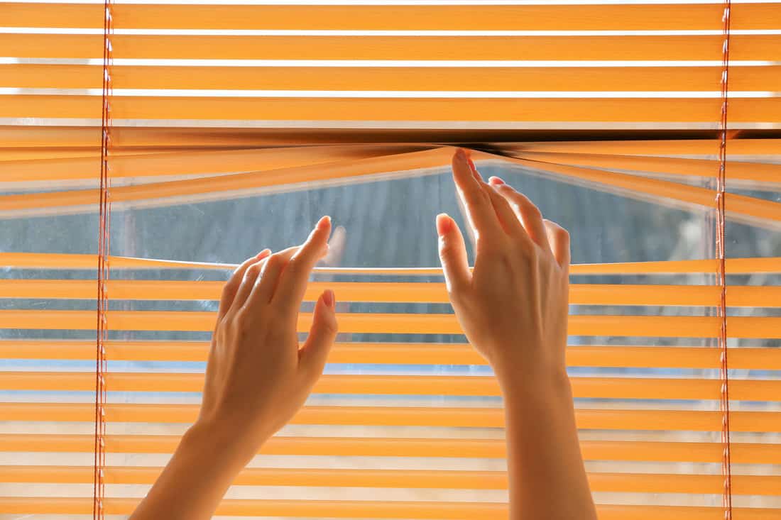 Woman opening blinds on window — Photo