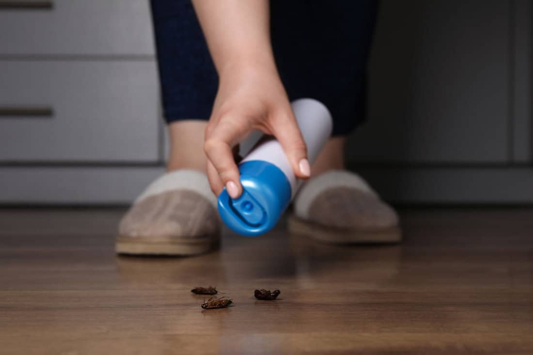 Woman using insecticide to kill cockroach or anytype of insect