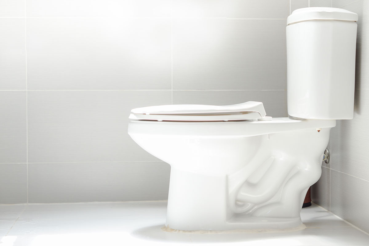 clean toilet, white toilet bowl, white floor tiles, white walls
