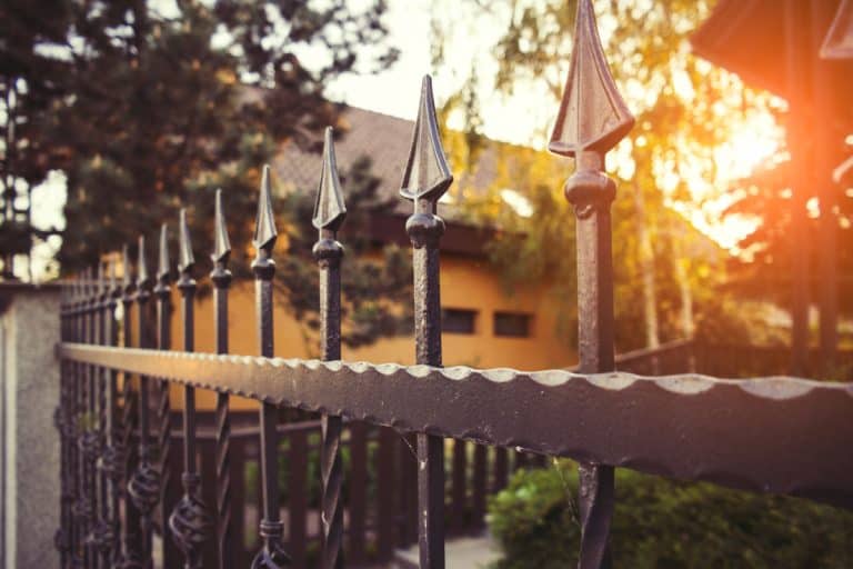 close up photo of a black classic metal gate outside the mansion, sun lit photo, sun set photo, How To Cover A Metal Or Wrought Iron Gate For Privacy