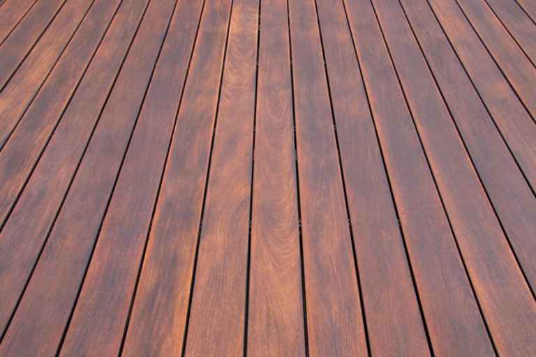 close up photo of a wood deck outside the house, How To Get Rid Of Wood Roaches On Deck