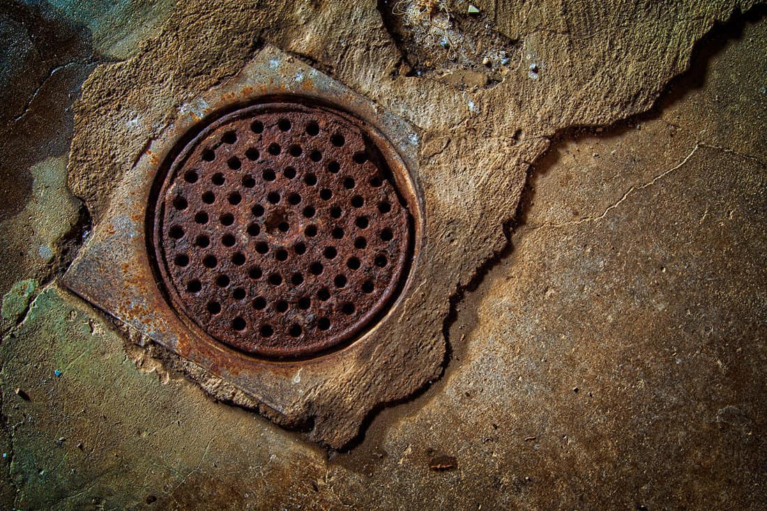 parents basement drain in St. Louis Missouri