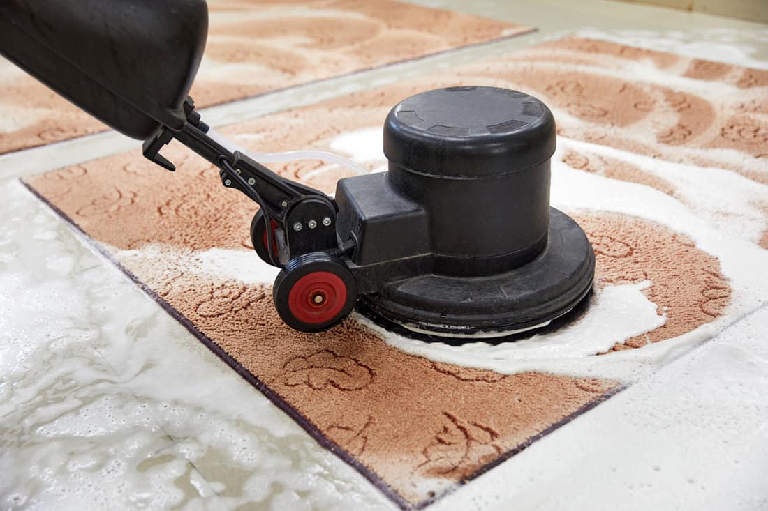 photo of a carpet cleaning machine rubbing on the carpet on the floor on the living room