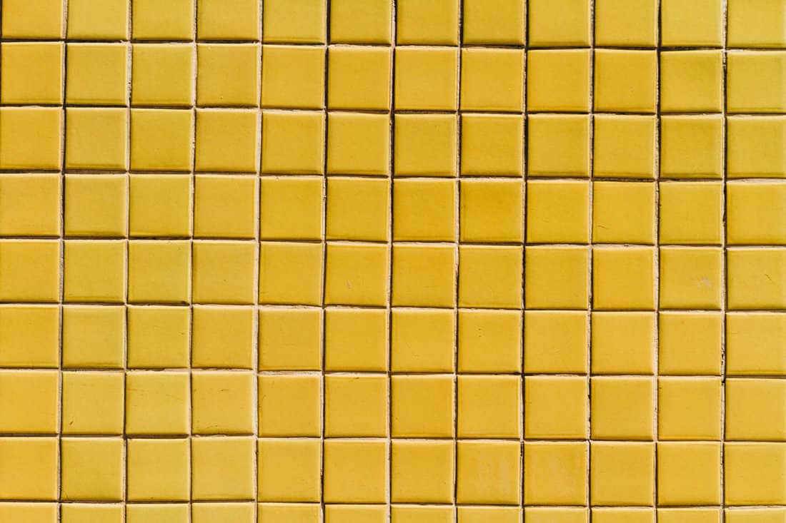 up close photo of a yellow tiles on the bathroom walls, mustard yellow wall tile
