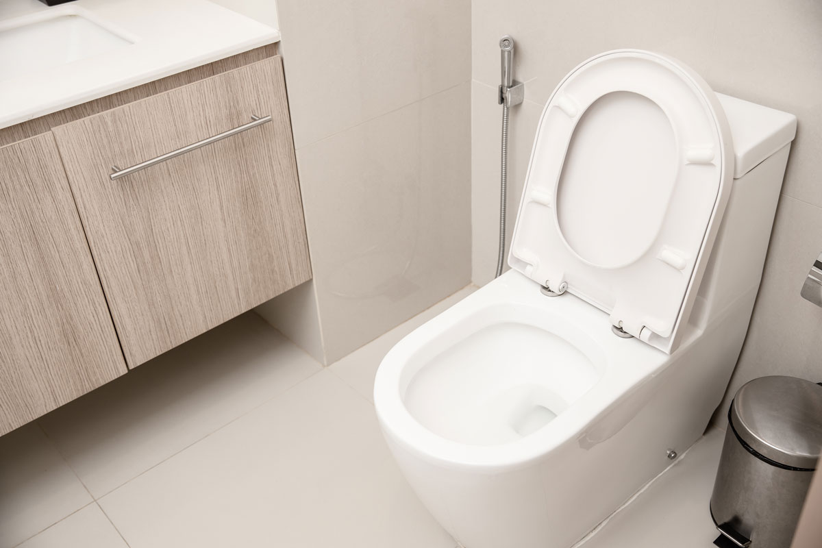 very clean photo of a toilet, white toilet bowl, trash bin, bidet, toilet sink
