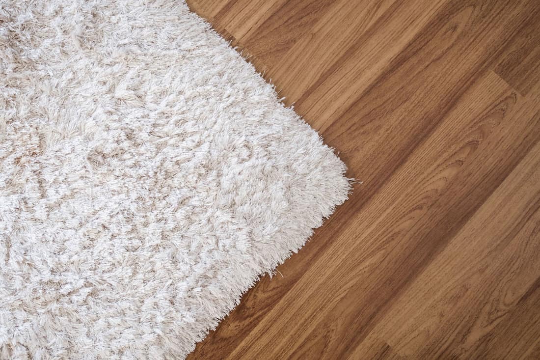 white carpet on laminate wood floor in living room, interior decoration