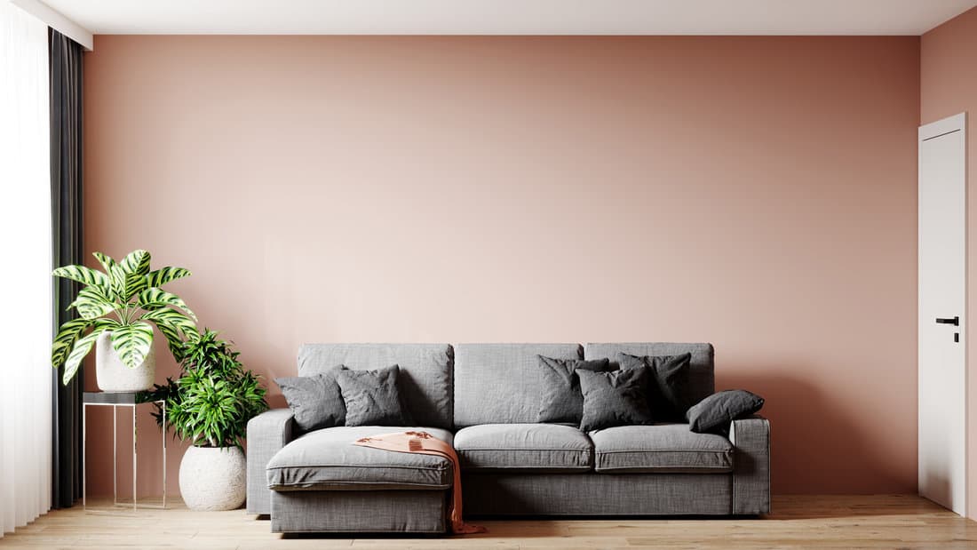 3d render of a beautiful design of a room with a gray sofa. Accent terracotta or Calming Coral wall for art. A lot of plants.