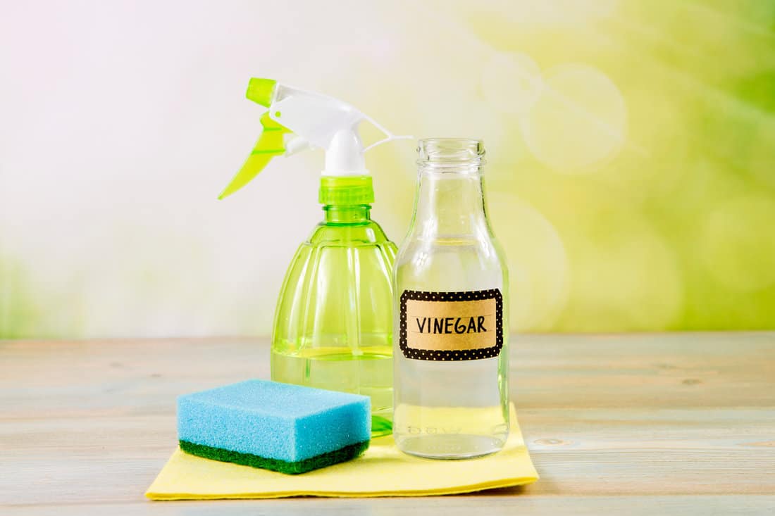 A spray and vinegar with a foam and a drying towel