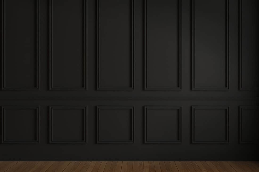 Black Wainscot Wall Blank Room
