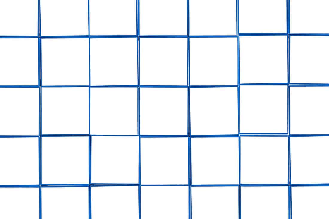 Blue seams of white tiles