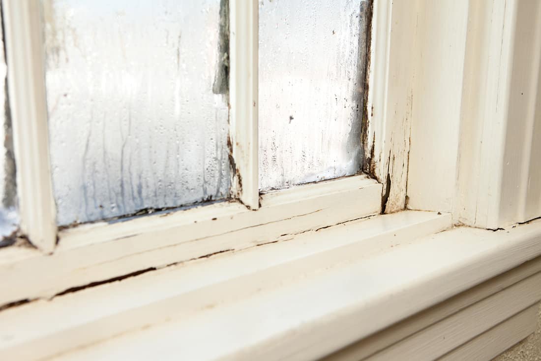 Color image of an old window, in need of replacement, with rotting wood and peeling paint, inside an older home, during winter