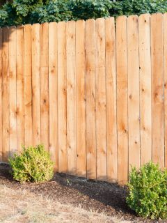 Cedar fence built in a newly built house, Six Best Stains For A Cedar Fence